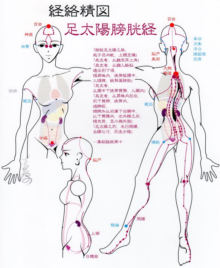 cupping points diagram