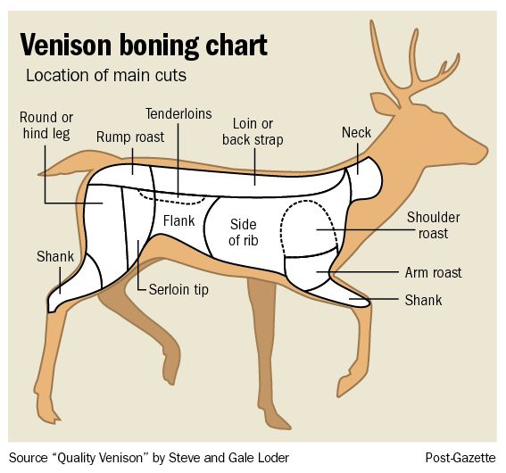cuts of venison diagram