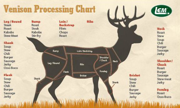 deer butchering diagram