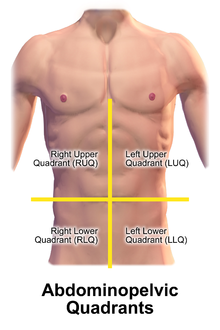diagram of abdomen quadrants