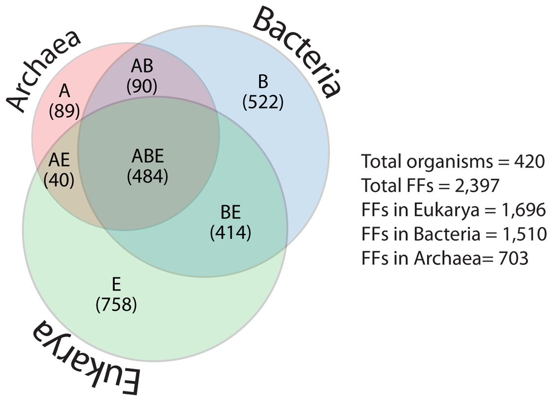 diagram of archaebacteria