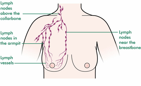 diagram of lymph nodes in armpit