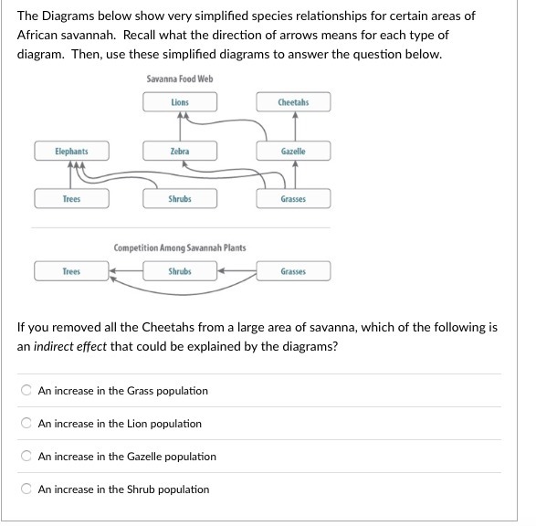 diagrams of cheetahs