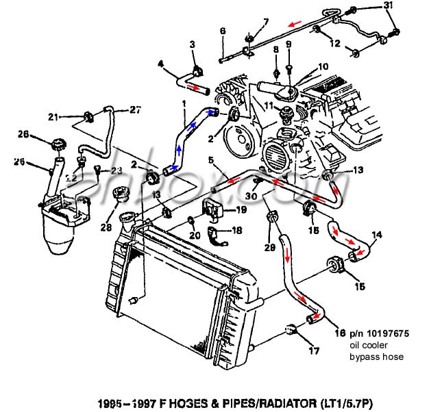 distributor cap wiring diagram 1990 ford f150 5.0 lt