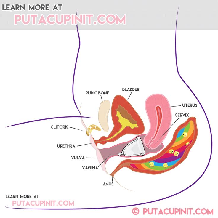 diva cup insertion diagram