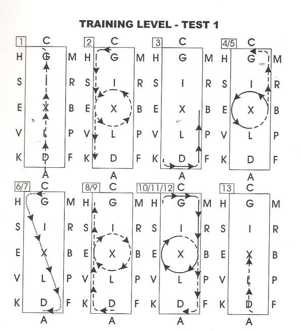 dressage training level test 1 diagram
