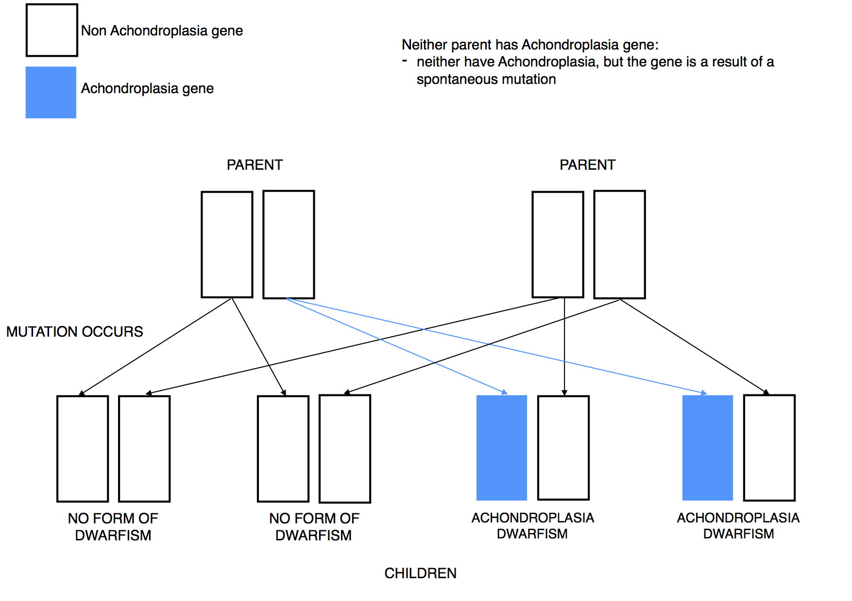 dwarfism diagram