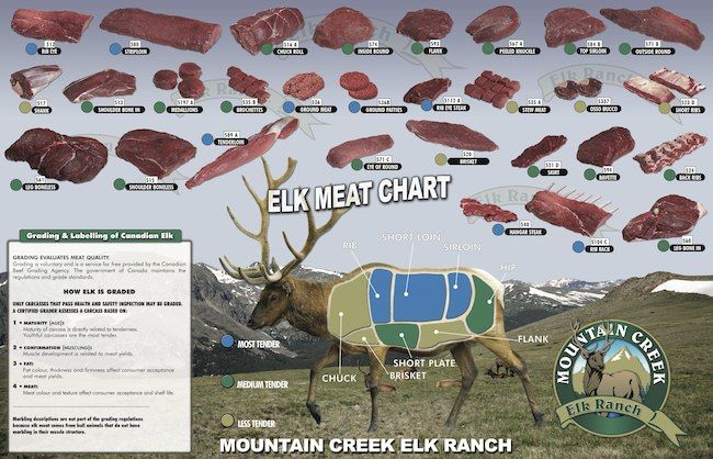 elk butcher diagram