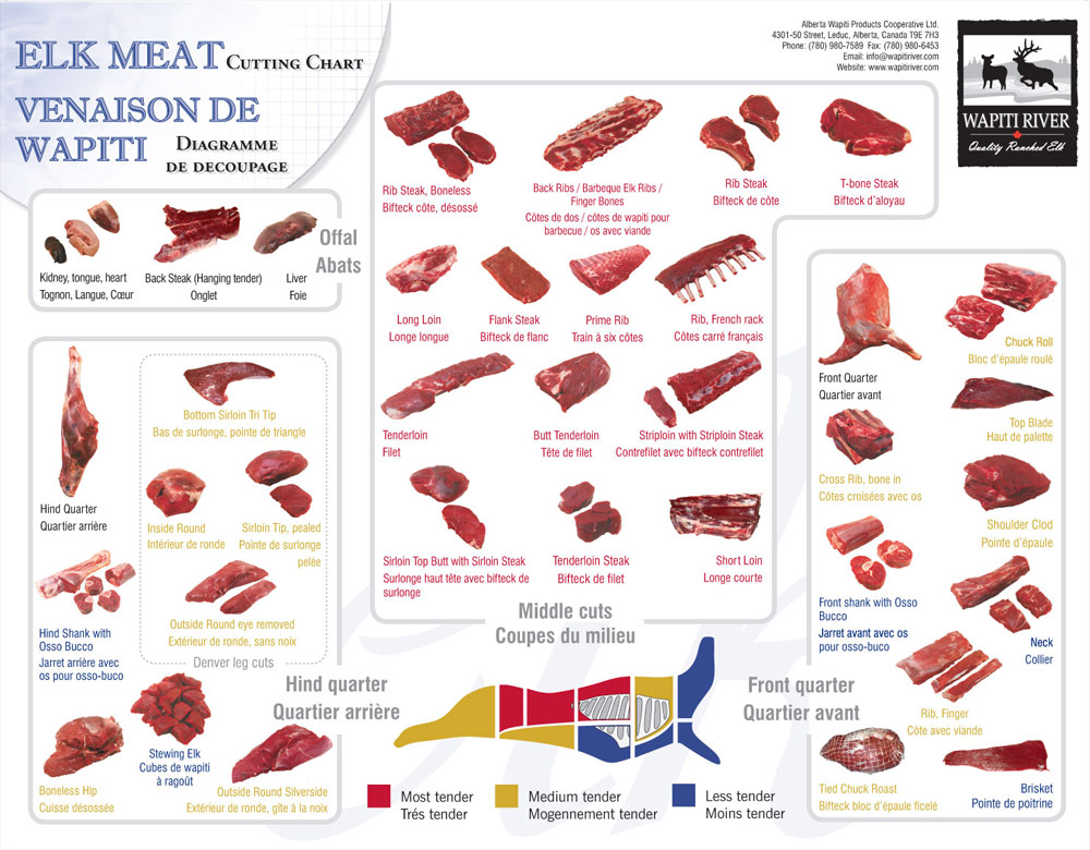 elk butcher diagram
