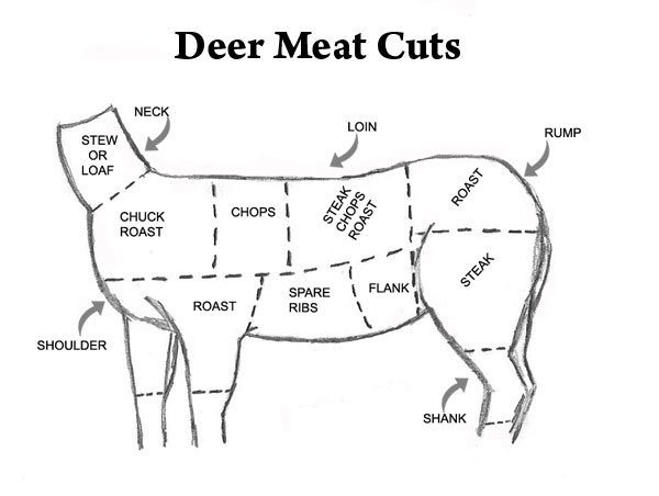 elk butchering diagram