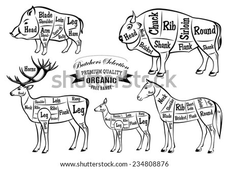 elk butchering diagram