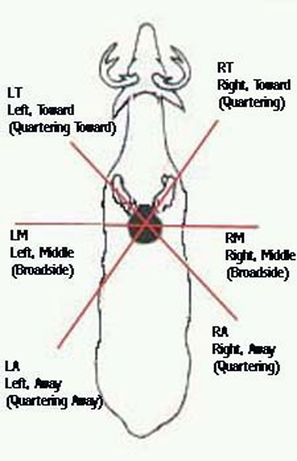 elk kill zone diagram