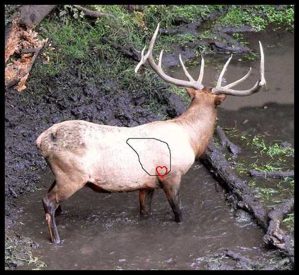 Elk Kill Zone Diagram Wiring Diagram Pictures