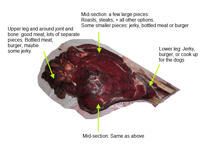 elk meat cuts diagram