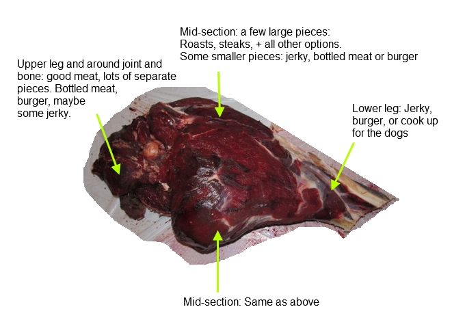 Elk Meat Cuts Diagram - Wiring Diagram Pictures