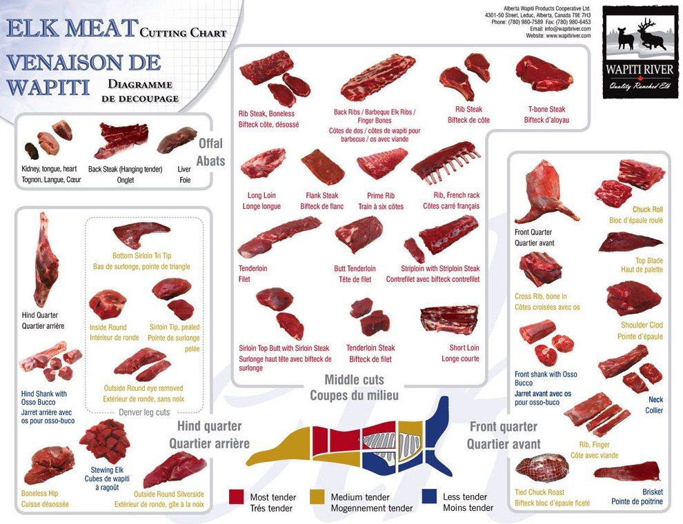 elk meat cuts diagram