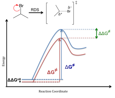 endothermic reaction coordinate diagram