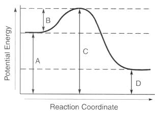 endothermic reaction coordinate diagram