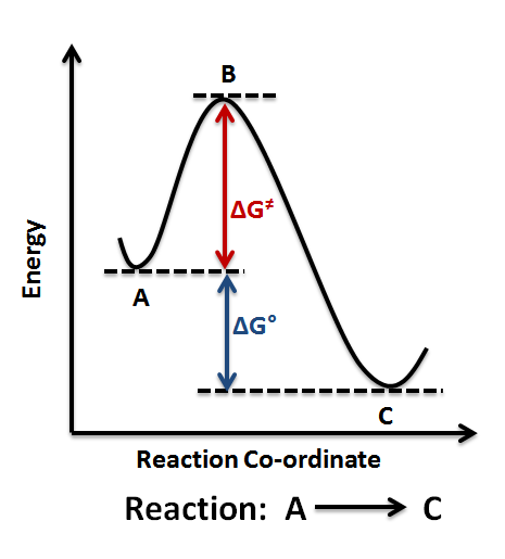 endothermic reaction coordinate diagram