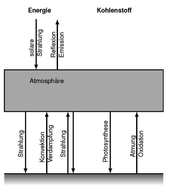 est firmans phone wiring diagram