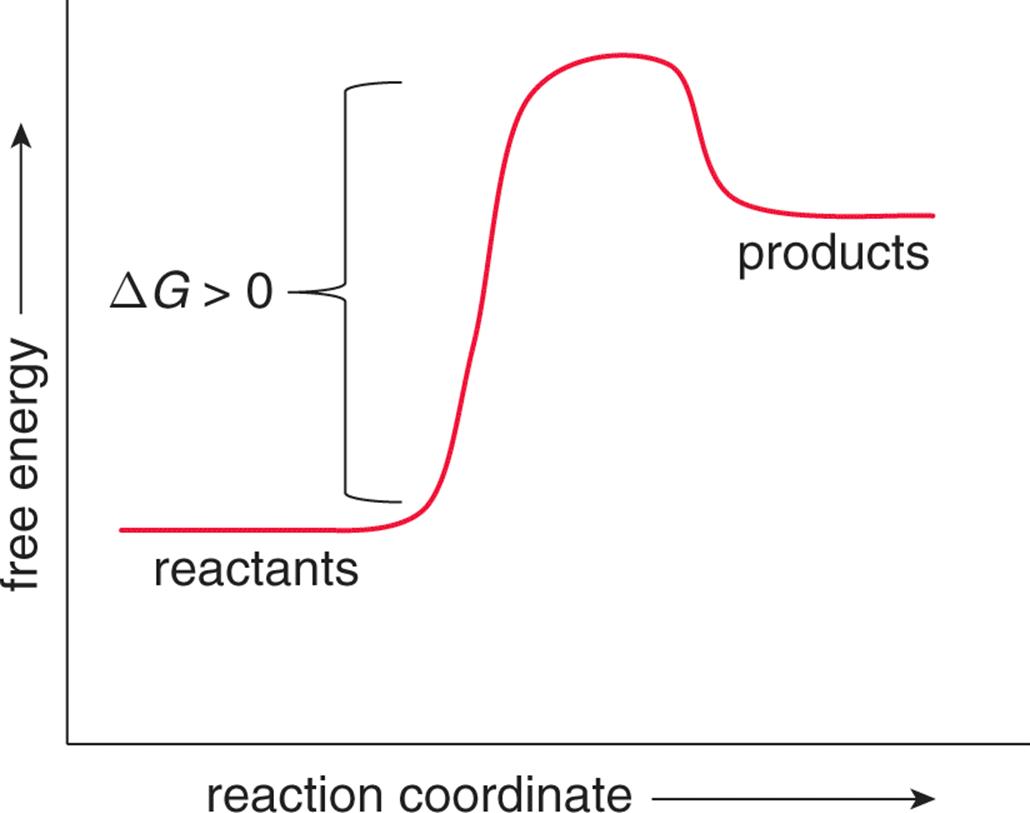 exergonic reaction diagram