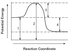 exothermic reaction coordinate diagram
