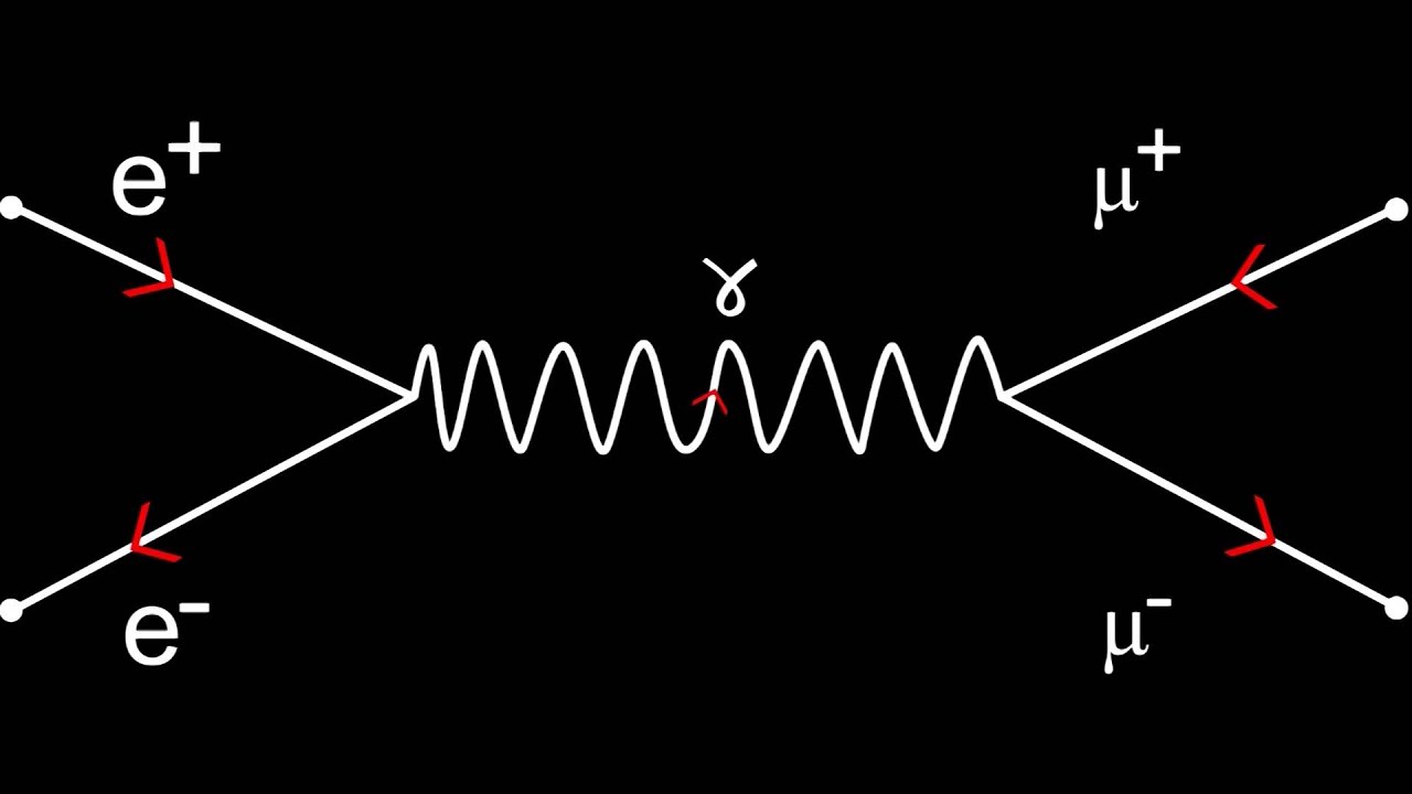 feynman diagram wallpaper