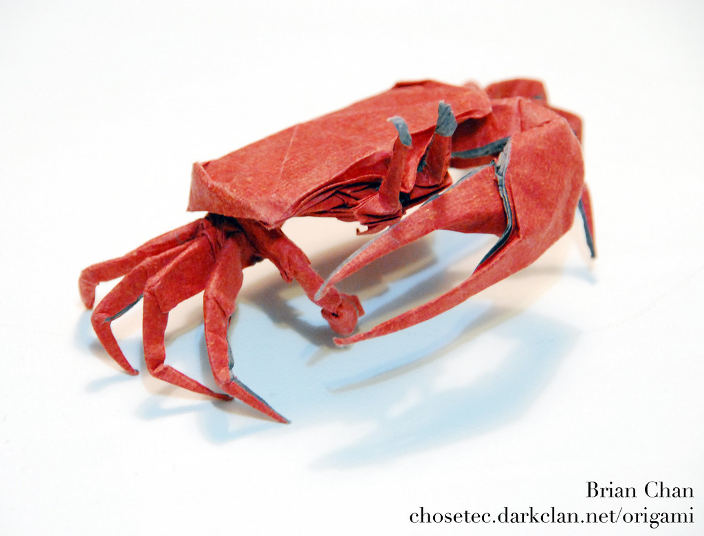 fiddler crab diagram