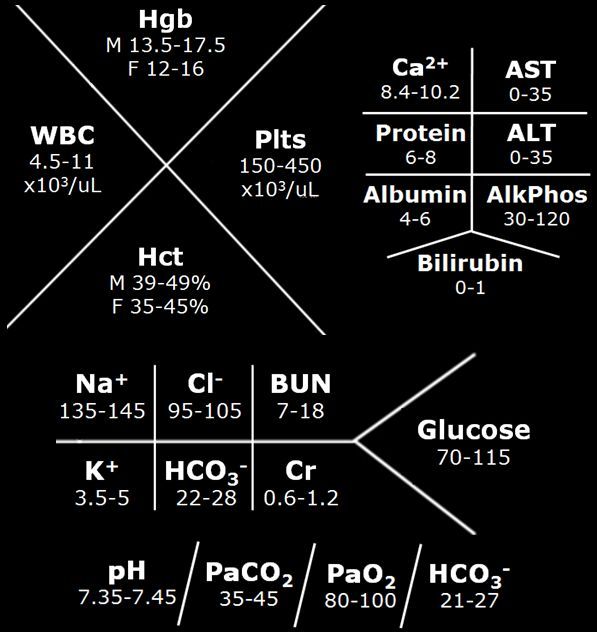 fishbone diagram electrolytes