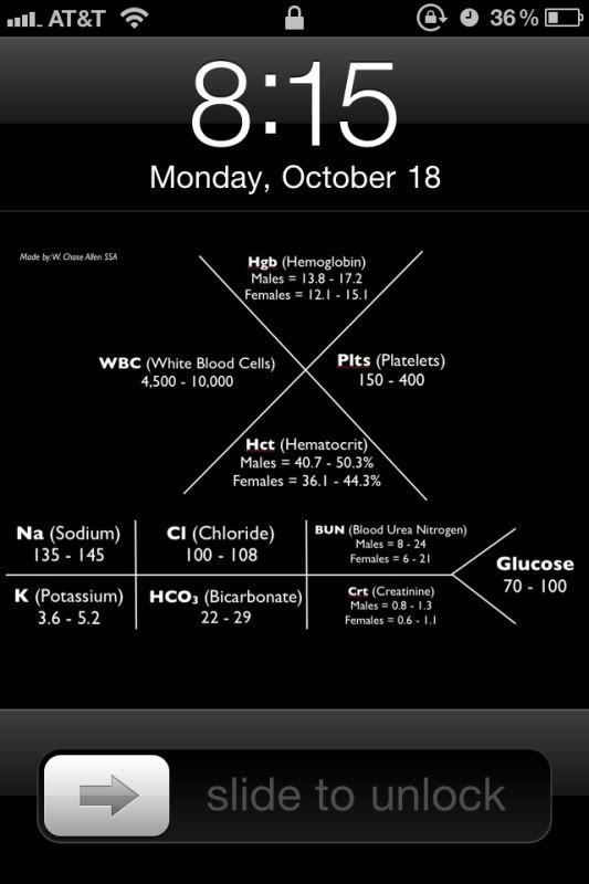 fishbone diagram labs