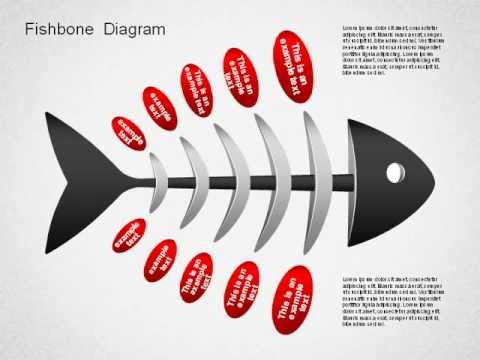 fishbone diagram youtube