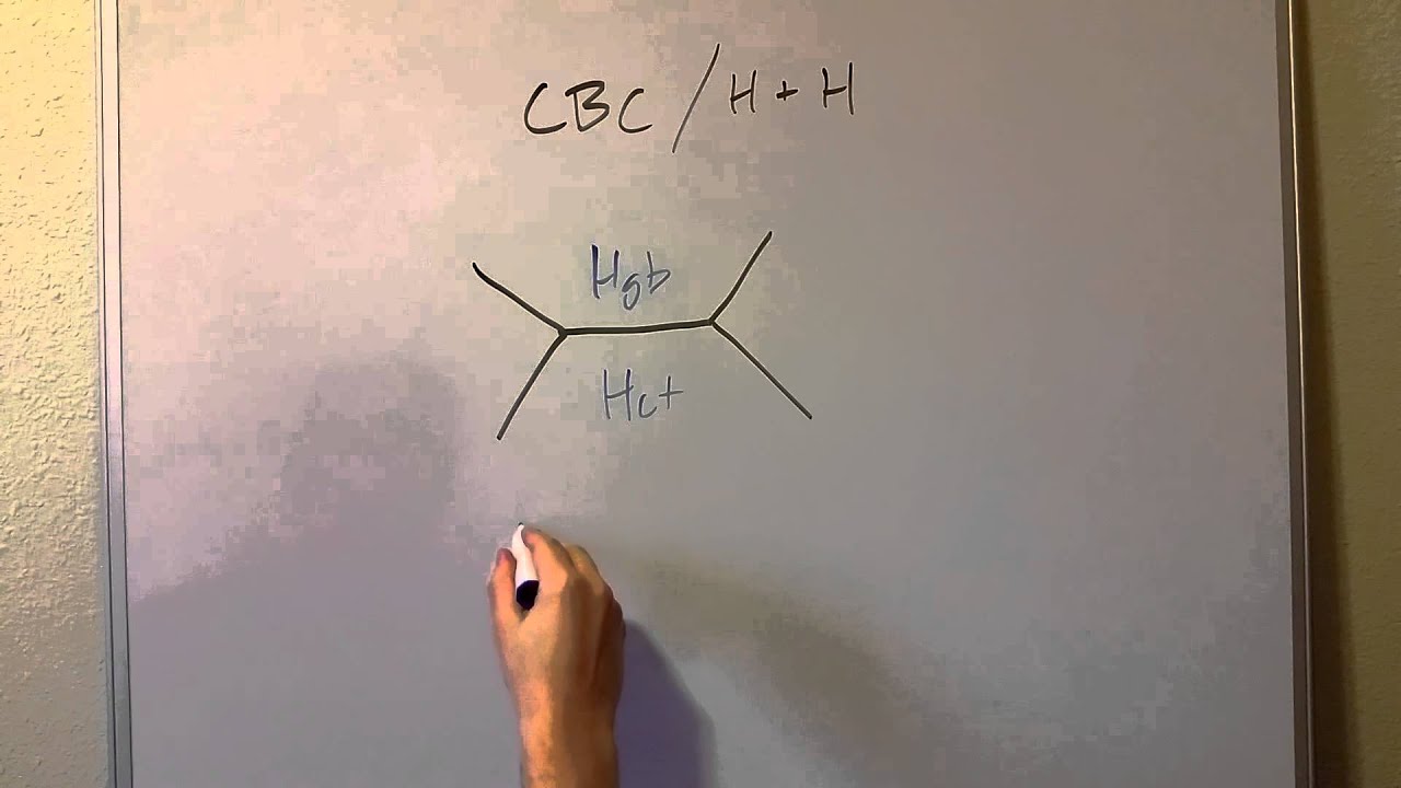 fishbone diagram youtube