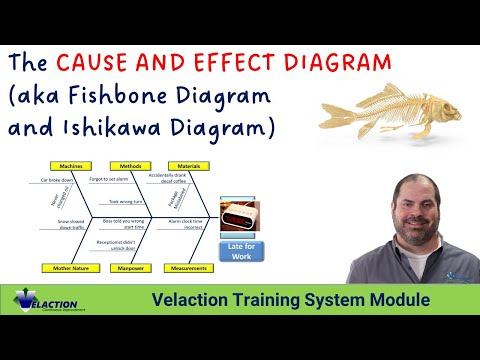 fishbone diagram youtube