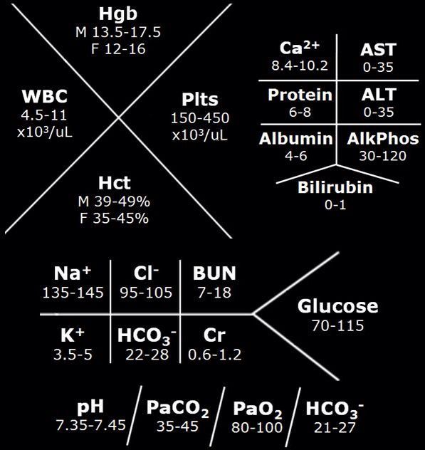 fishbone lab diagram