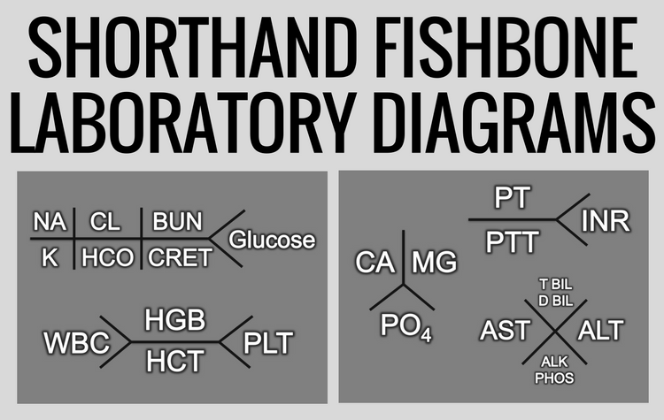 fishbone lab diagram