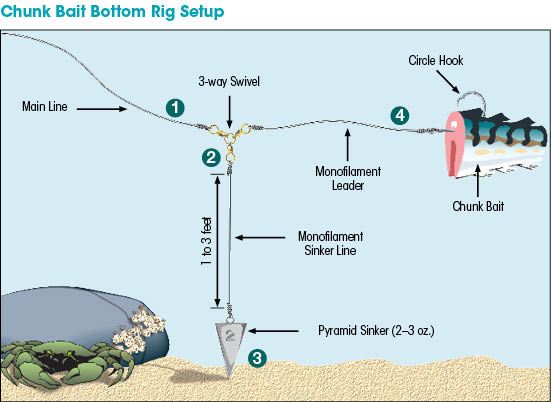 flounder rig diagram