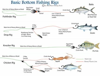 flounder rig diagram