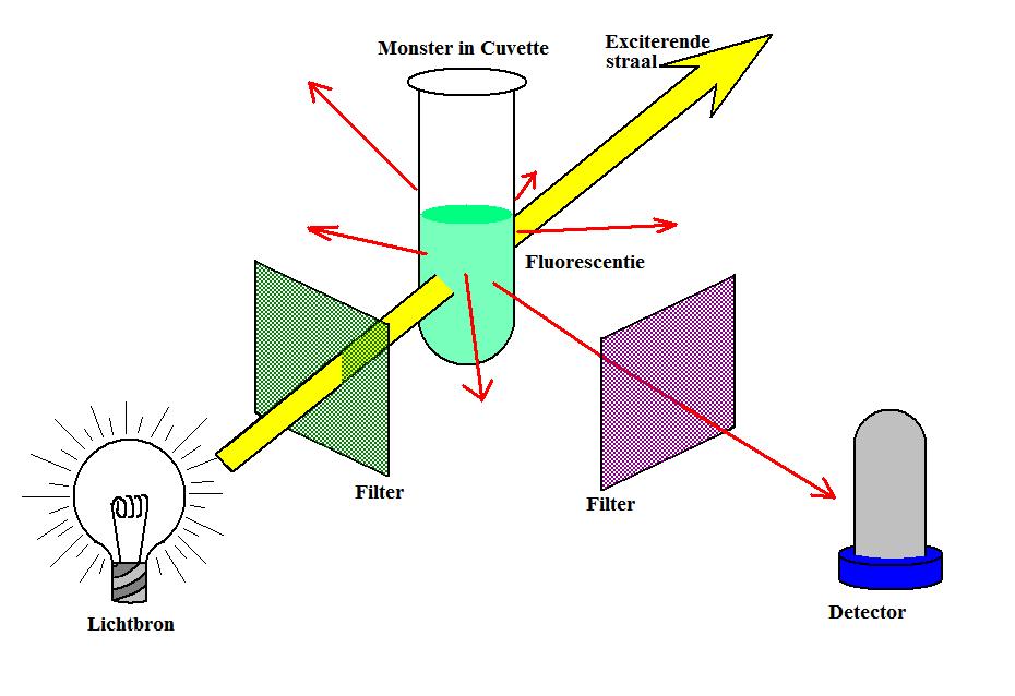 fluorometer block diagram