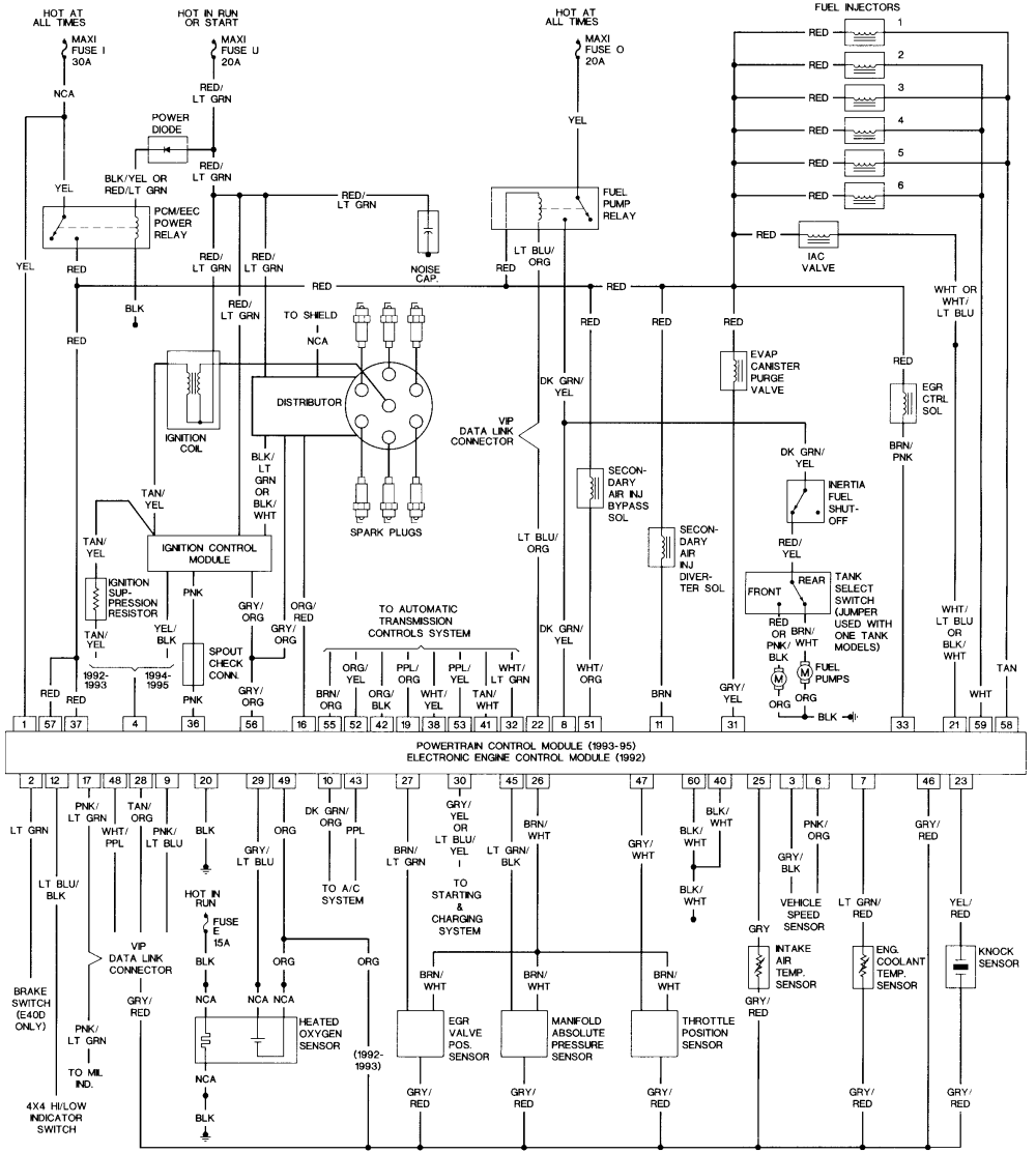 ford 302 tfi ignition wiring diagram