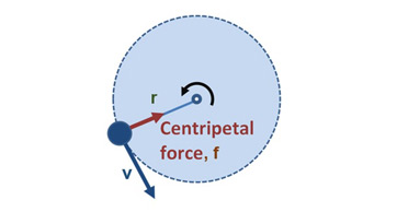 free body diagram centripetal force