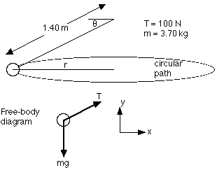 free body diagram centripetal force