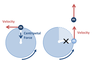 free body diagram centripetal force