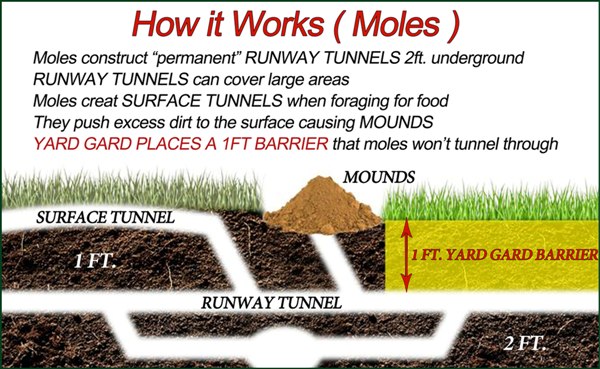 gopher tunnels diagram