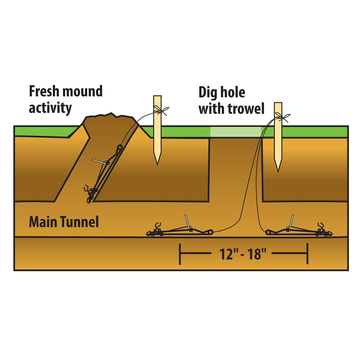 gopher tunnels diagram