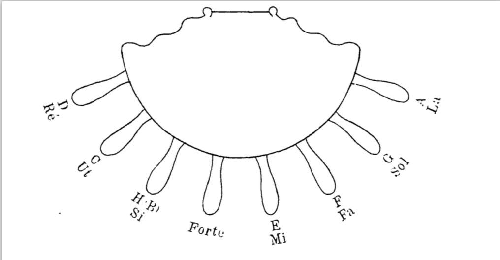 harp pedal diagram