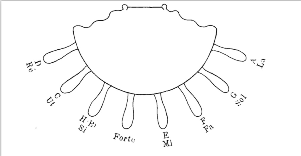 harp pedals diagram