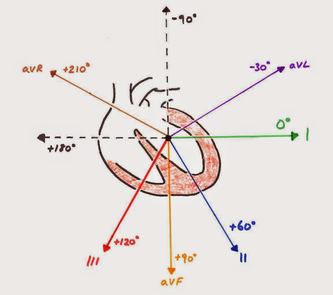 hexaxial diagram