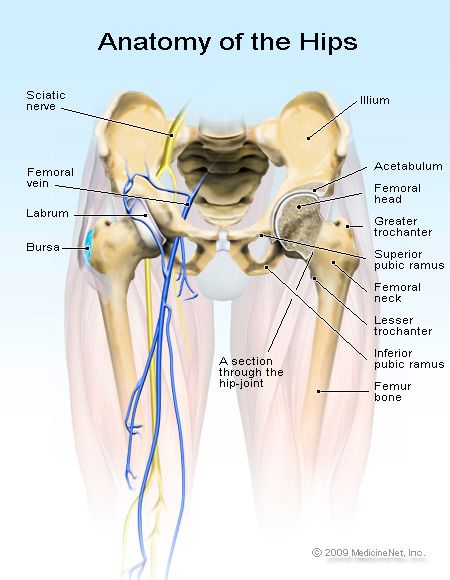 hip bursitis diagram