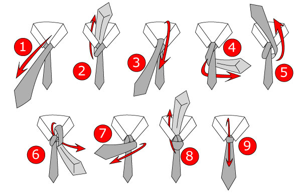 how to tie a double windsor knot diagram