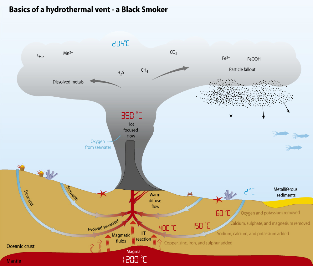 hydrothermal vent diagram